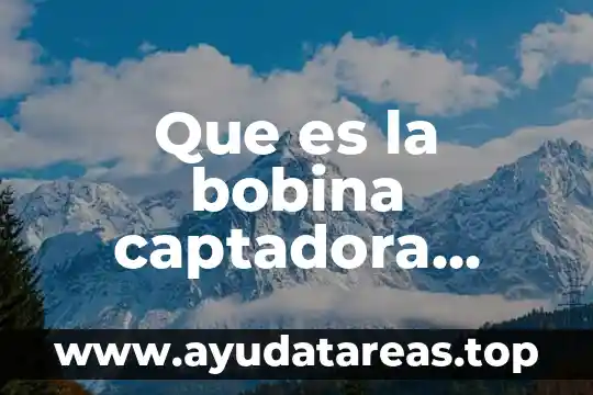 Por qué es buena el agua de arnica 7 Que es la bobina captadora efecto hall