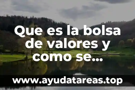 Valores de una empresa que es 3 Que es la bolsa de valores y como se maneja