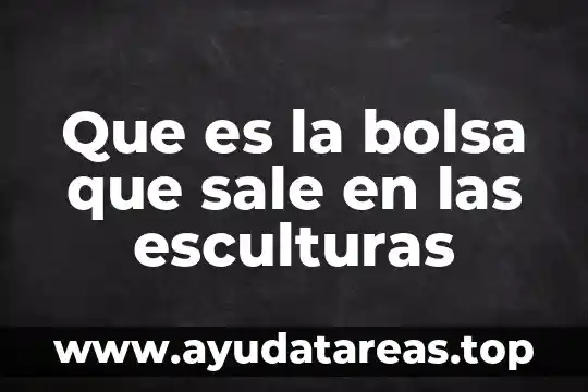 Que es la bolsa que sale en las esculturas
