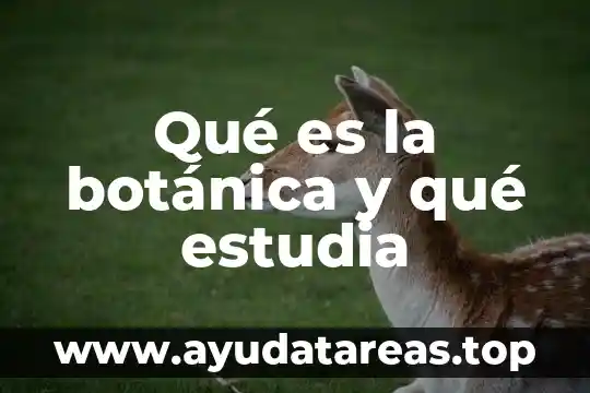 Qué es la botánica y qué estudia