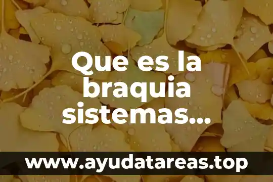 Que es una señal amplificada en sistemas de control 8 Que es la braquia sistemas corporales