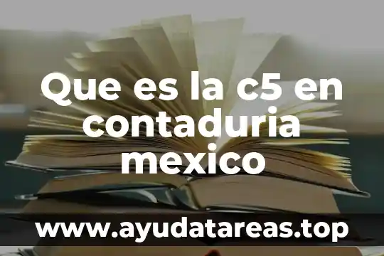 Revista contaduria publica que es y de que sirve 5 Que es la c5 en contaduria mexico
