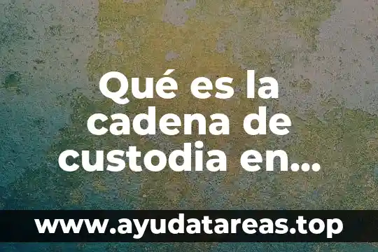 Qué es cadena de custodia definición 5 Qué es la cadena de custodia en México