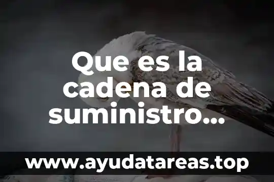 Que es la cadena de suministro segun autores