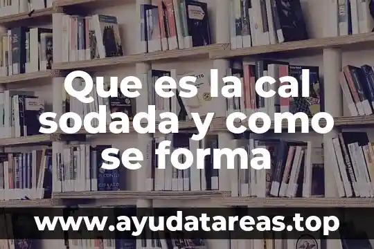 Que es la cal sodada y como se forma