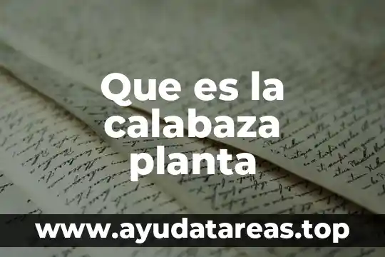 Hierbabuena planta medicinal que es 4 Que es la calabaza planta