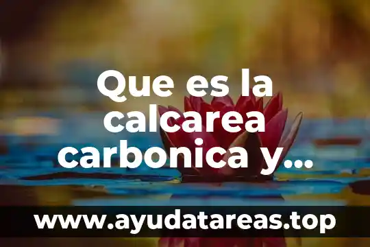 Que es la calcarea carbonica y para que sirve
