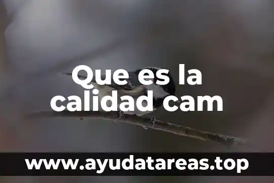 Que es la calidad cam