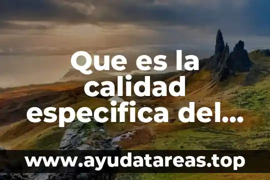 Dirección de la calidad total que es 3 Que es la calidad especifica del sujeto activo