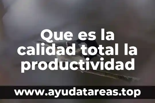 Que es la calidad total la productividad