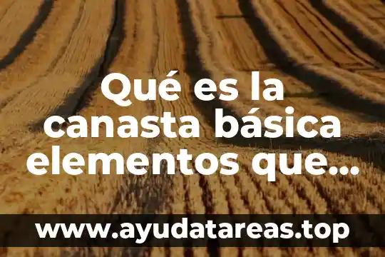 Qué es la canasta básica elementos que la componen