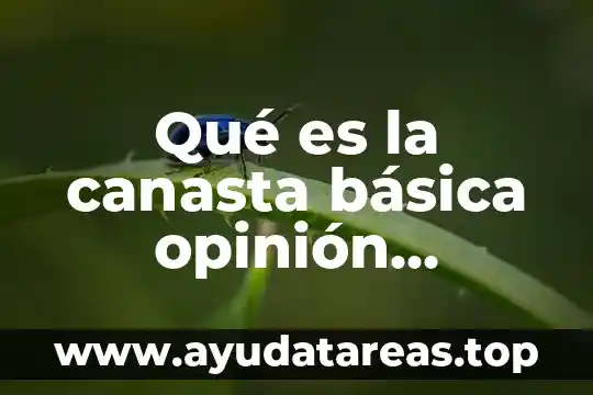 Que es la narrativa personal 3 Qué es la canasta básica opinión personal