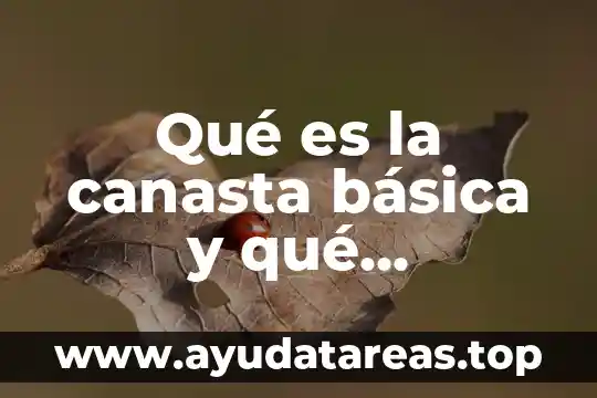 Que es variacion de alimentos 8 Qu茅 es la canasta b谩sica y qu茅 alimentos incluye