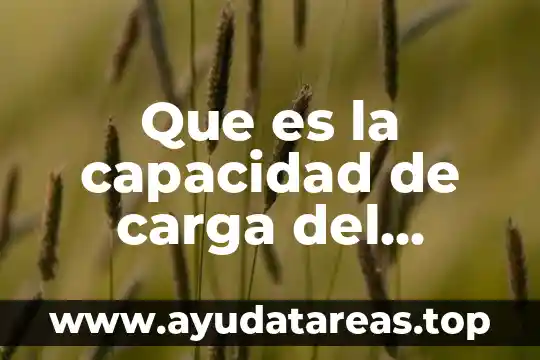Qué es flujo de energía en el ecosistema 4 Que es la capacidad de carga del ecosistema