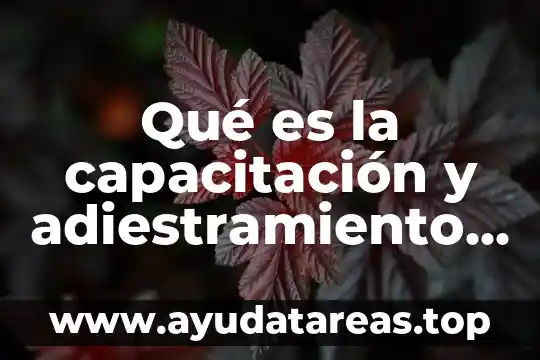 Que es la muerte segun la ley federal del trabajo 3 Qué es la capacitación y adiestramiento ley federal de trabajo