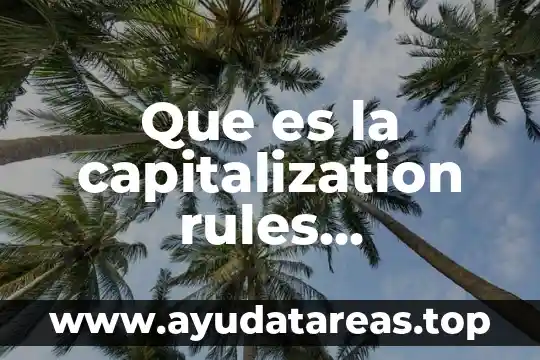 Que es la seguridad publica significado 8 Que es la capitalization rules significado