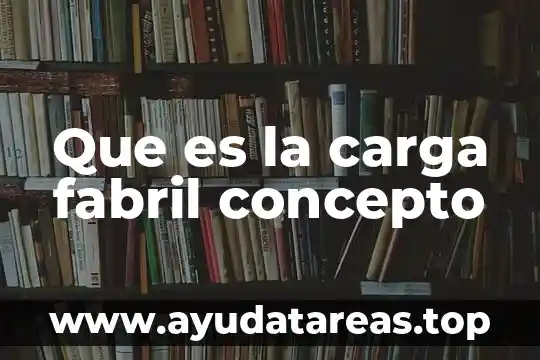Que es la carga fabril concepto