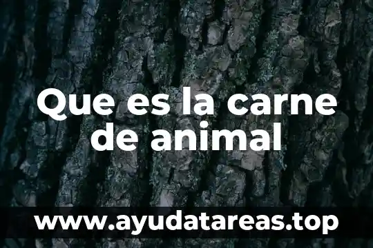 Que es centriolos de la celula animal y su funcion 6 Que es la carne de animal