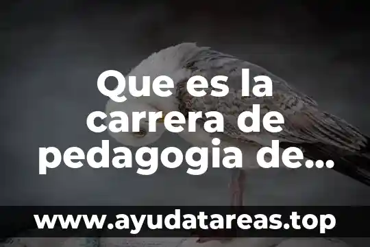 Que es la muestra pequeña en diseños experimentales psicologia 7 Que es la carrera de pedagogia de las ciencias experimentales