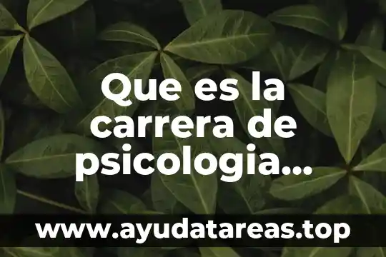 Qué es furia en la psicología 8 Que es la carrera de psicologia social