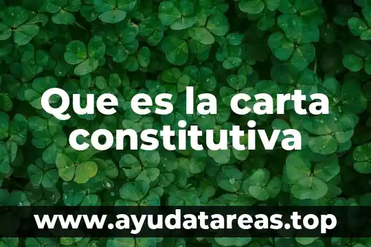 Que es la carta constitutiva