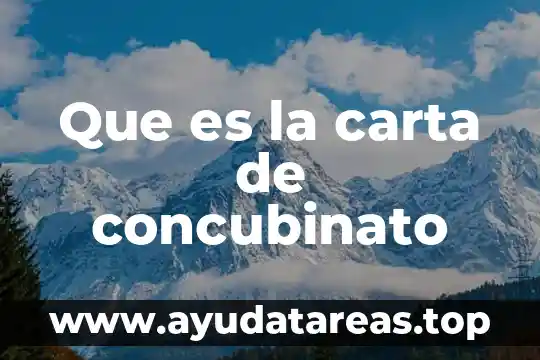 Que es la carta de concubinato