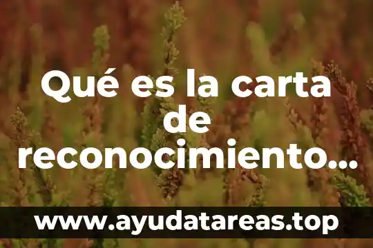 Qué es la carta de reconocimiento conacyt