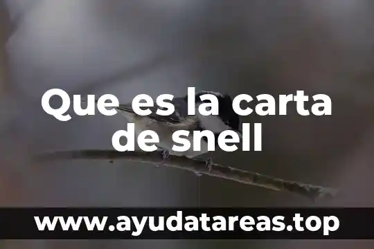 Que es la carta de snell