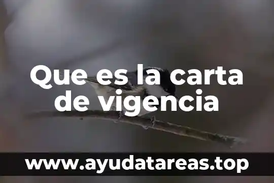 Que es la carta de vigencia