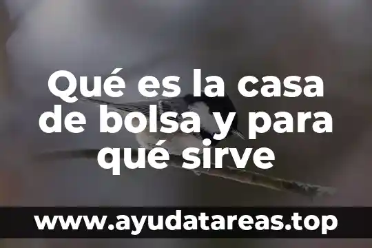 Que es huesped en casa 6 Qué es la casa de bolsa y para qué sirve
