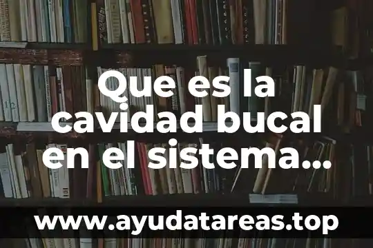 Que es la cavidad bucal en el sistema respiratorio