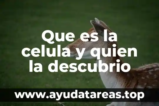 Quien descubrio la electricidad y que es la electricidad 3 Que es la celula y quien la descubrio