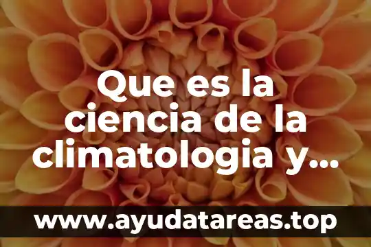 Que es el ong y sus tipos 8 Que es la ciencia de la climatologia y meteorologia