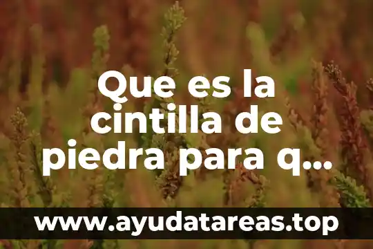 Digital q que es 3 Que es la cintilla de piedra para q sirve