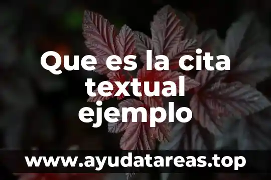 Lógica textual que es 5 Que es la cita textual ejemplo