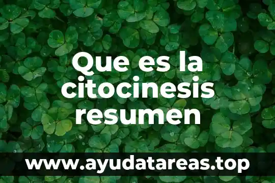 Que es lo que genera la contaminacion del agua 7 Que es la citocinesis resumen