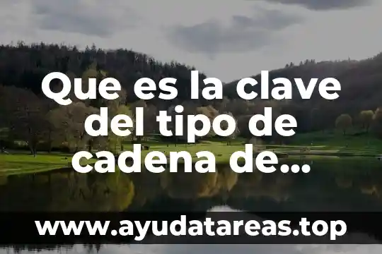Que es la clave del tipo de cadena de pago