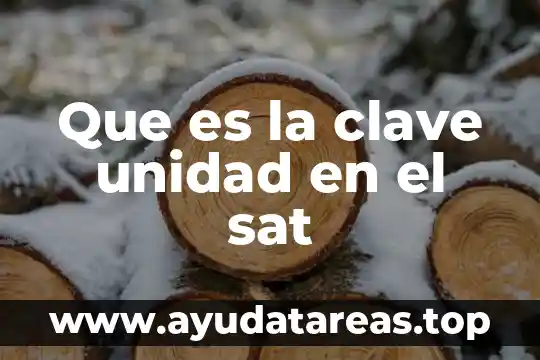 Para que es la clave de sol 5 Que es la clave unidad en el sat