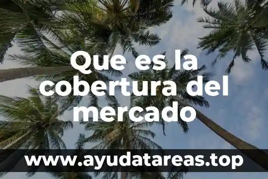 Qué es traslao significado 4 Que es la cobertura del mercado