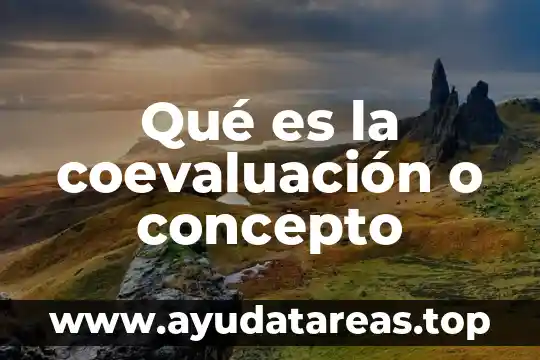 Qué es la coevaluación o concepto