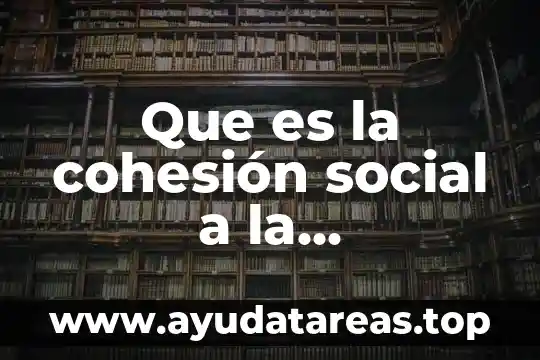 Que es la cohesión social a la participación democrática