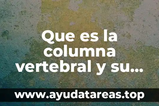 Que es doble columna en educacion fisica 8 Que es la columna vertebral y su funcion