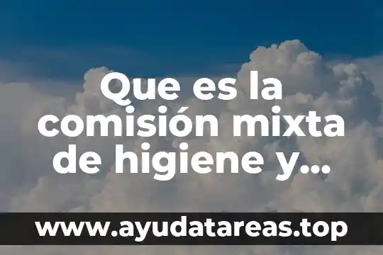 Que es la comisión mixta de higiene y seguridad