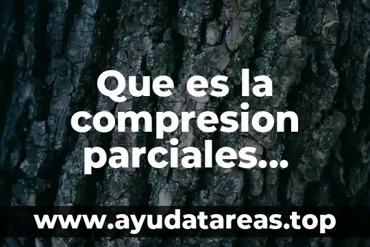 Que es la compresion parciales definicion quimica