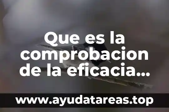 Que es la comprobacion de la eficacia de un producto