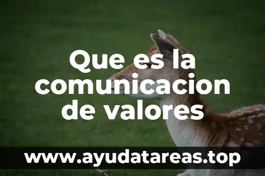 Valores de una empresa que es 8 Que es la comunicacion de valores
