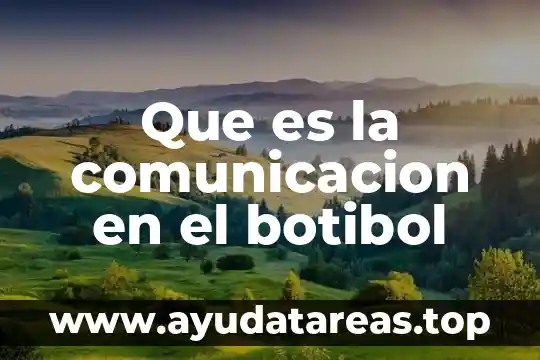 Qué es una señal comunicación 8 Que es la comunicacion en el botibol
