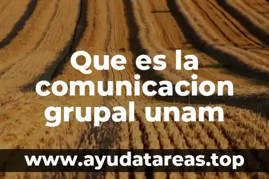 Que es la comunicacion grupal unam