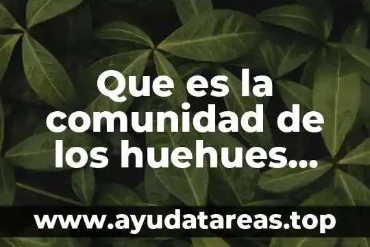 Que es la comunidad de los huehues san luis potosi
