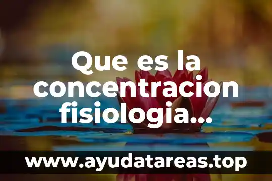 Qué es el vínculo en psicología 8 Que es la concentracion fisiologia psicologia